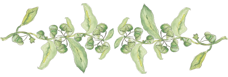 Bottom Content Image