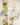 Long Glass Colmeia