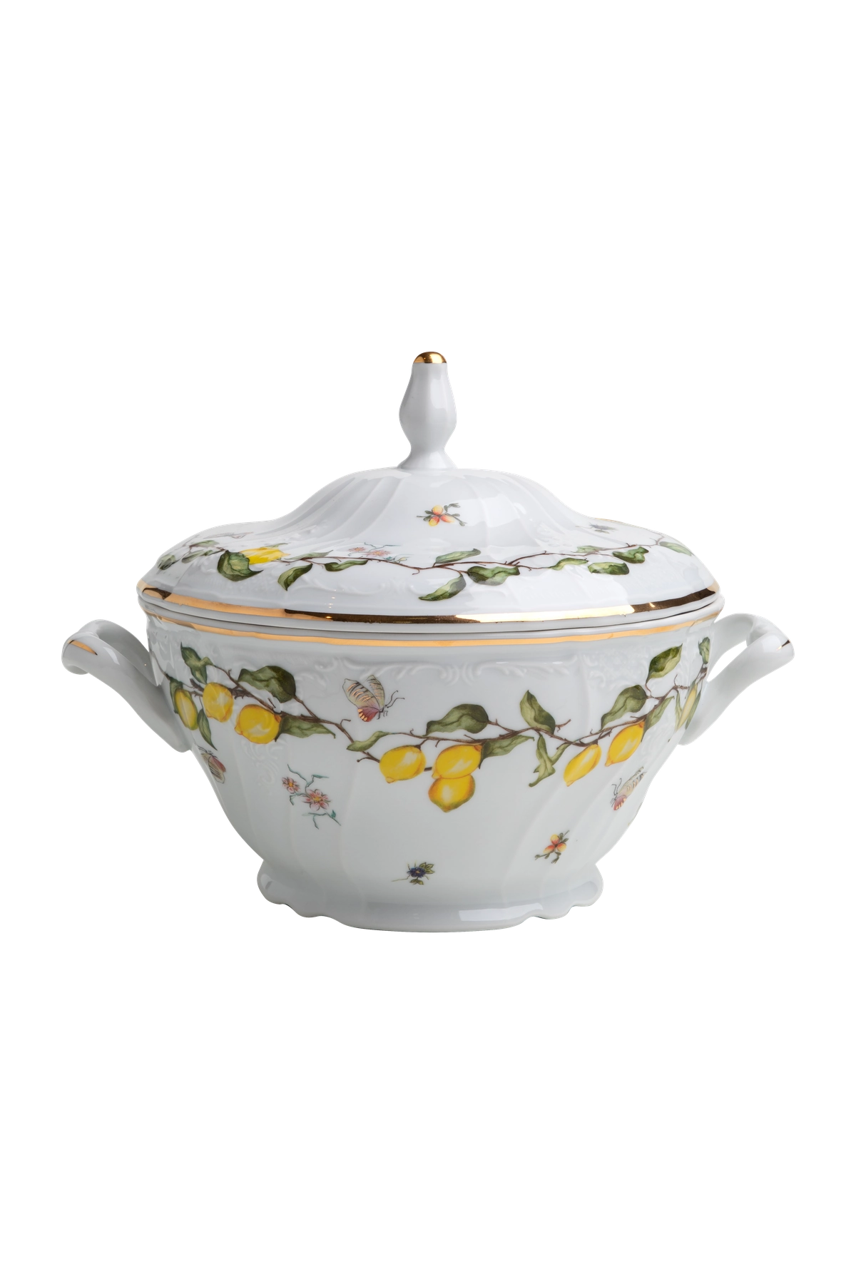 Soup Bowl Limoeiro
