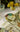 Bread Plate Portrait