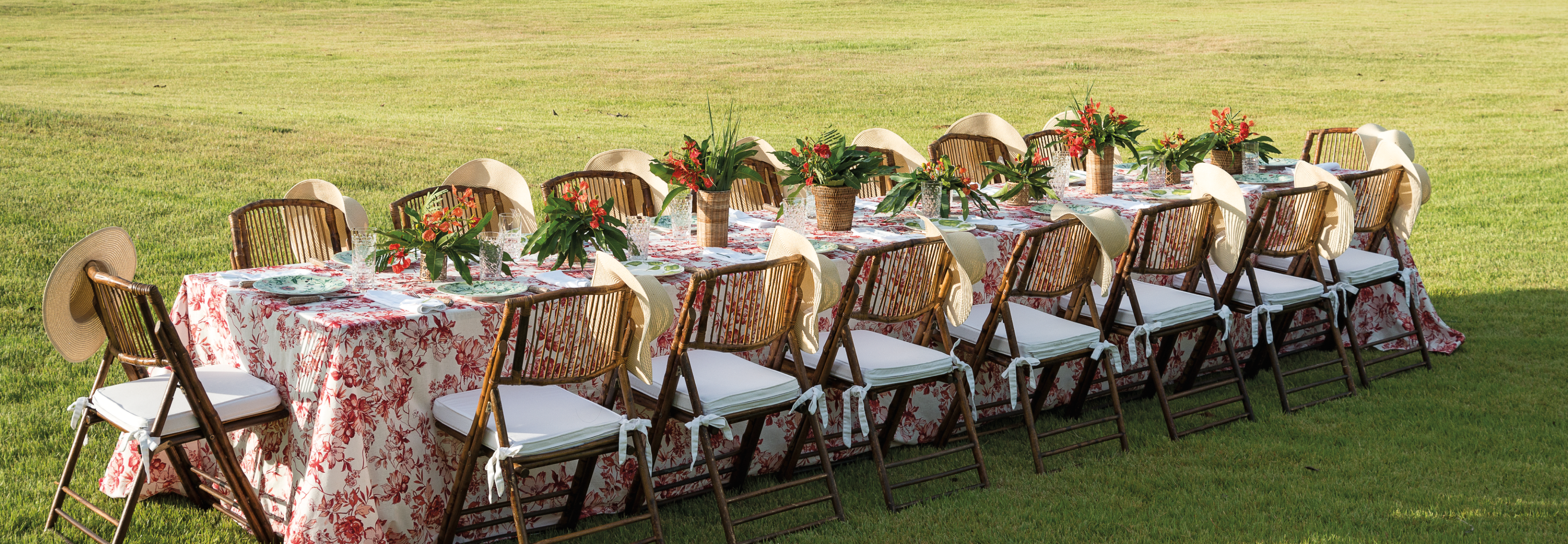 Outdoor sixteen person table setting in the countryside