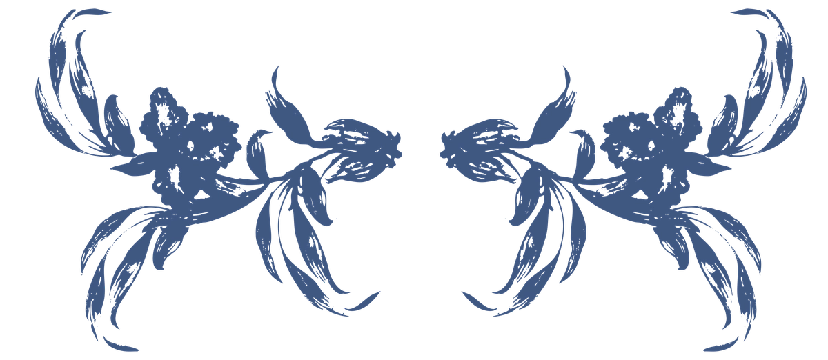 Bottom Content Image