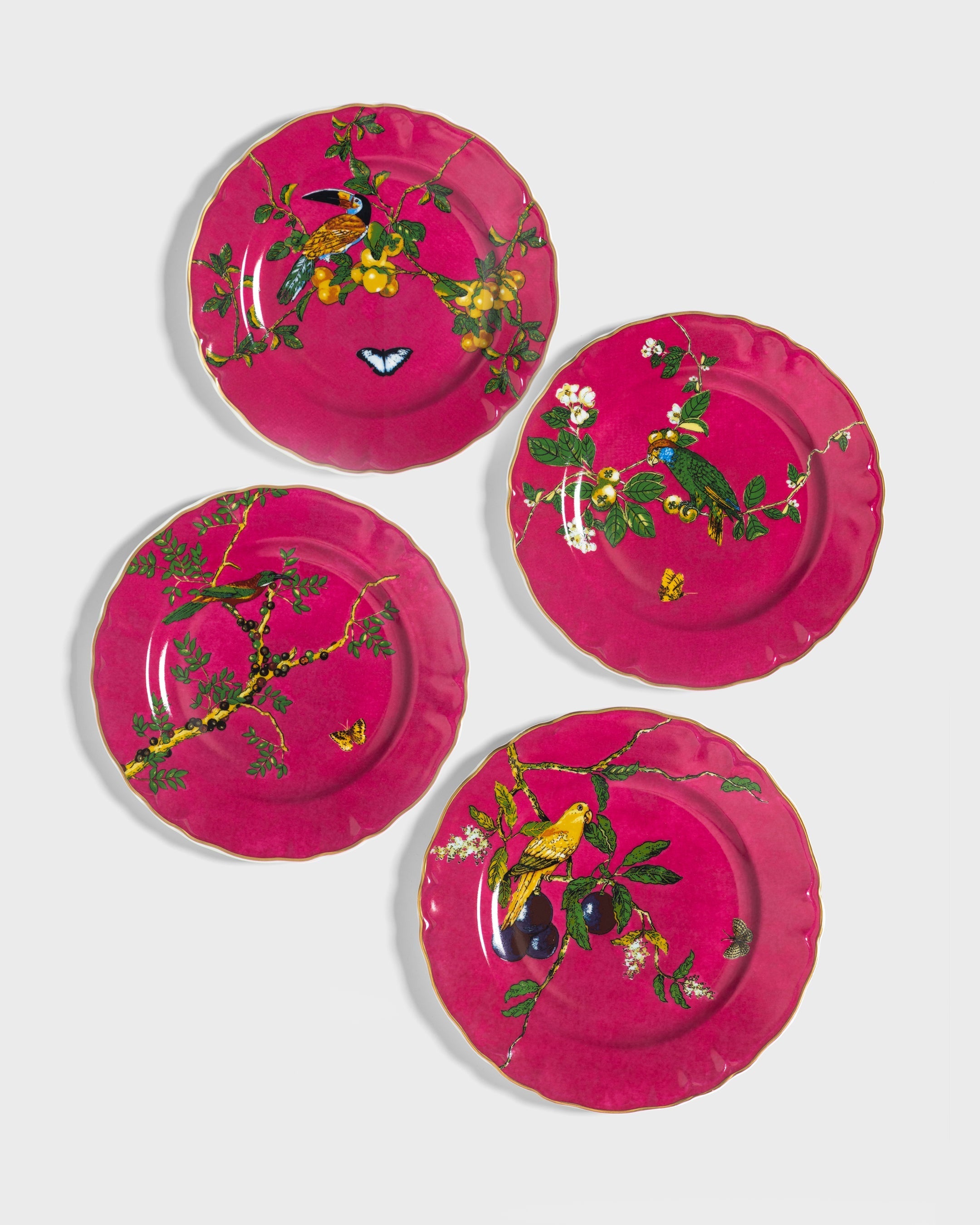 Dessert Plate Passaros do Brasil Pink (4) - Tania Bulhões