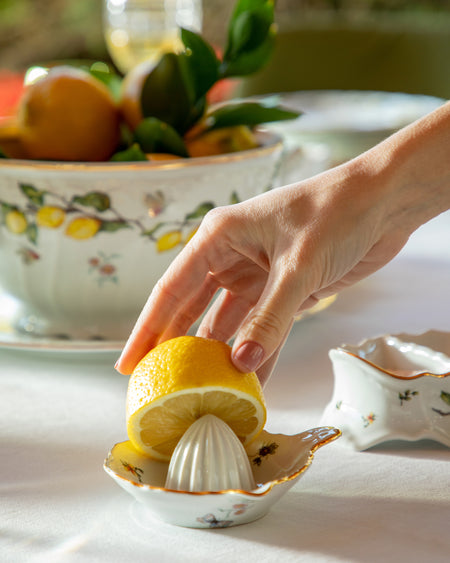 Citrus Juicer Limoeiro